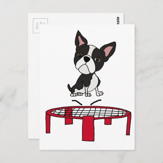 Niedlicher Boston Terrie Dog auf Trampolin Cartoon Postkarte (Vorne/Hinten)