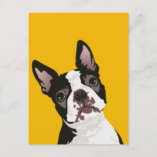 Niedlicher Boston Terrier Dog für den Besitzer von Postkarte