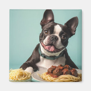 Niedlicher Boston Terrier mit Spaghetti Bolognaise Magnet