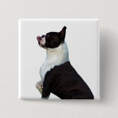 Niedlicher Boston Terrier Square Button (Vorderseite)