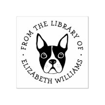 Niedlicher Bostoner Terrier aus der Buchbibliothek