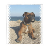 Niedlicher Boxer-Dog-Editor Notizblock (Vorderseite)