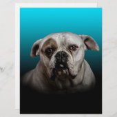 Niedlicher Boxer Hund mit blauem schwarzem Hinterg Briefkopf (Vorne/Hinten)