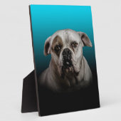 Niedlicher Boxer Hund mit blauem schwarzem Hinterg Fotoplatte (Seite)
