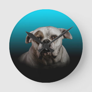 Niedlicher Boxer Hund mit blauem schwarzem Hinterg Runde Wanduhr