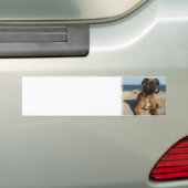 Niedlicher Boxer-HundeAutoaufkleber Autoaufkleber (Auf Auto)