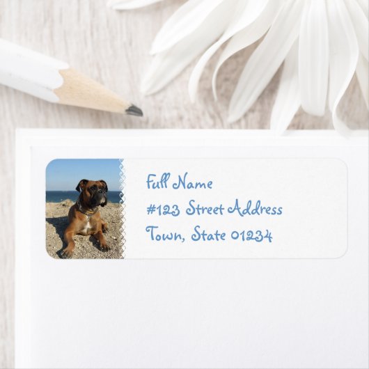 Niedlicher Boxer-Rücksendeadresse (Insitu)