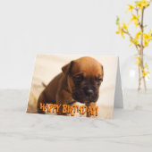 Niedlicher Boxer-Welpen-Geburtskarte Karte (Gelbe Blume)