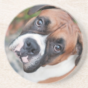 Niedlicher Boxerhund Getränkeuntersetzer