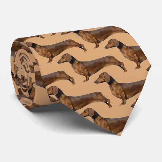 Niedlicher brauner Dackel Krawatte (Gerollt)