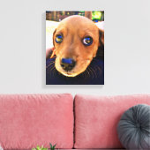 Niedlicher brauner Dackel Welpenhund Leinwanddruck (Insitu (Wohnzimmer))