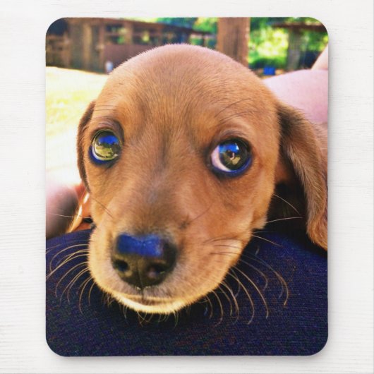 Niedlicher brauner Dackel Welpenhund Mousepad (Vorne)