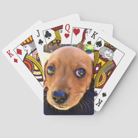 Niedlicher brauner Dackel Welpenhund Spielkarten (Rückseite)