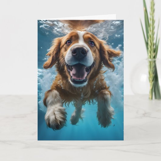 Niedlicher brauner Hund Unterwasser Baden Blaues W Karte (Vorderseite)
