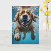 Niedlicher brauner Hund Unterwasser Baden Blaues W Karte (Gelbe Blume)