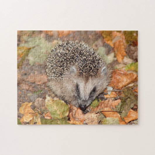 Niedlicher brauner Igel auf Blätter Jigsaw Puzzle (Horizontal)