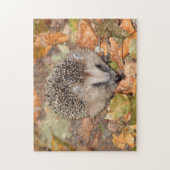 Niedlicher brauner Igel auf Blätter Jigsaw Puzzle (Vertikal)