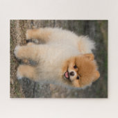 Niedlicher brauner Spitz Welpenhund Puzzle (Horizontal)