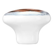 Niedlicher brauner Spitz Winterart Keramikknauf (Seitenansicht)