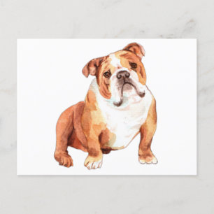 Niedlicher britischer Bulldog-Chat Postkarte