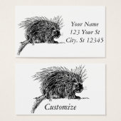 Niedlicher britischer Igel Thunder_Cove (Vorne & Hinten)