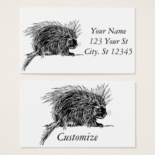 Niedlicher britischer Igel Thunder_Cove (Vorne & Hinten)