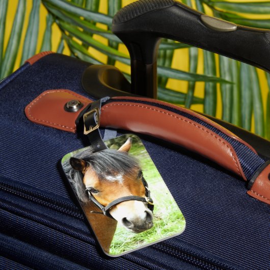 NIEDLICHER BROWN PONY GEPÄCKANHÄNGER (Vorderseite Insitu 1)