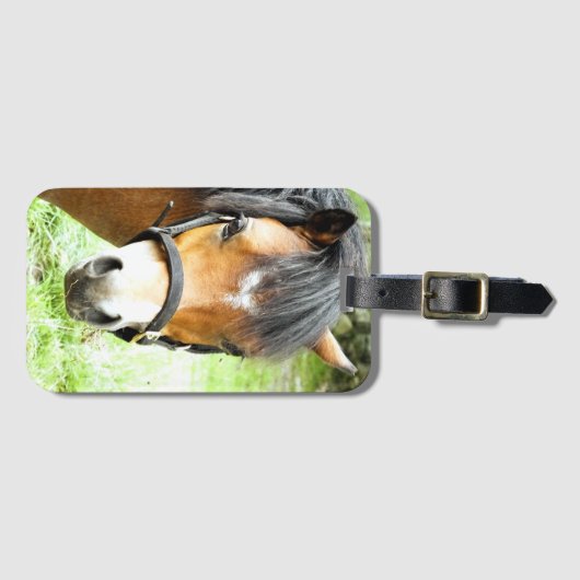 NIEDLICHER BROWN PONY GEPÄCKANHÄNGER (Vorderseite (Horizontal))