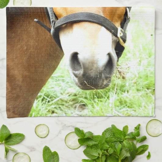 NIEDLICHER BROWN PONY GESCHIRRTUCH (Gefaltet)