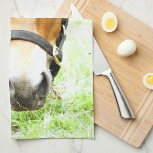 NIEDLICHER BROWN PONY GESCHIRRTUCH (Viertel Falte)