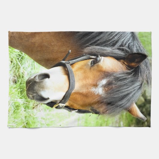 NIEDLICHER BROWN PONY GESCHIRRTUCH (Horizontal)