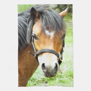 NIEDLICHER BROWN PONY GESCHIRRTUCH