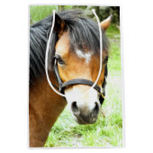 NIEDLICHER BROWN PONY MITTLERE GESCHENKTÜTE (Vorderseite)