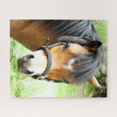 NIEDLICHER BROWN PONY PUZZLE (Horizontal)