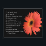 Niedlicher Bruder / Schwester Geschwister Geburtst Postkarte<br><div class="desc">Für die Außenwelt werden wir alle alt. Aber nicht für Brüder und Schwestern. Wir kennen uns, wie wir es immer waren. Wir kennen einander das Herz. Wir teilen private Familienwitze. Wir erinnern uns an familiäre Fehden und Geheimnisse, familiäre Griffs und Freuden. Wir leben außerhalb der Touch der Zeit. ~Clara Ortega...</div>