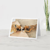 Niedlicher Bruder und Schwester, Hundeportrait Karte (Vorderseite)