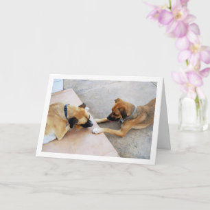 Niedlicher Bruder und Schwester, Hundeportrait Karte