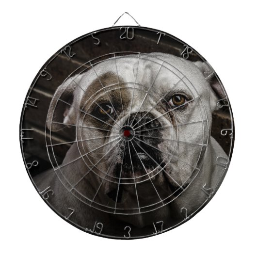 Niedlicher Bulldog Dartscheibe (vorne)