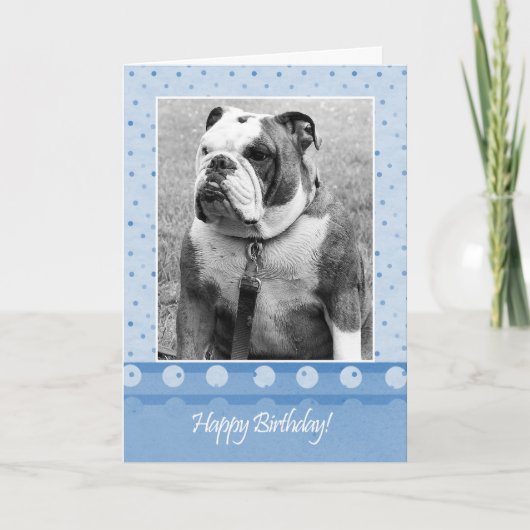 Niedlicher Bulldog Happy Birthday Blue Dot Grußkar Karte (Vorderseite)