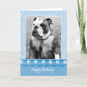Niedlicher Bulldog Happy Birthday Blue Dot Grußkar Karte