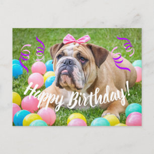 Niedlicher Bulldog Happy Birthday Postkarte