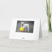 Niedlicher Bulldog in der Bow Blank Grußkarte Karte (Rückseite)