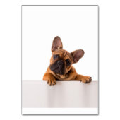 Niedlicher Bulldog | Sehr Niedlich, English Bulldo Tischnummer (Vorderseite)