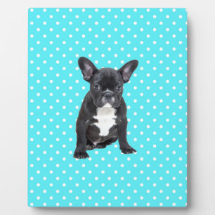 Niedlicher Bulldog Welpe Blue Polka Dots Fotoplatte