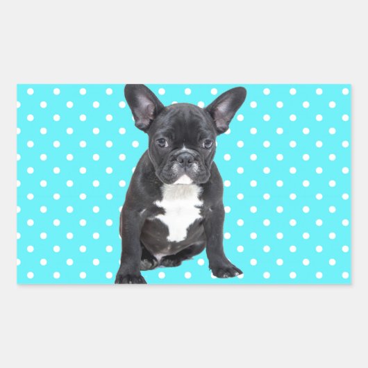 Niedlicher Bulldog Welpe Blue Polka Dots Rechteckiger Aufkleber (Vorderseite)