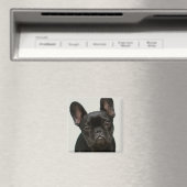 Niedlicher Bulldog-Welpe Magnet (In Situ (Geschirrspüler))