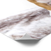 Niedlicher Bulldog Welpe Poster (Ecke)