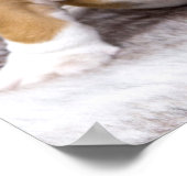 Niedlicher Bulldog-Welpe sitzend Poster (Ecke)