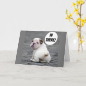 **NIEDLICHER BULLDOG** WILL IHNEN, "SCHON GUT ZU K KARTE (Gelbe Blume)