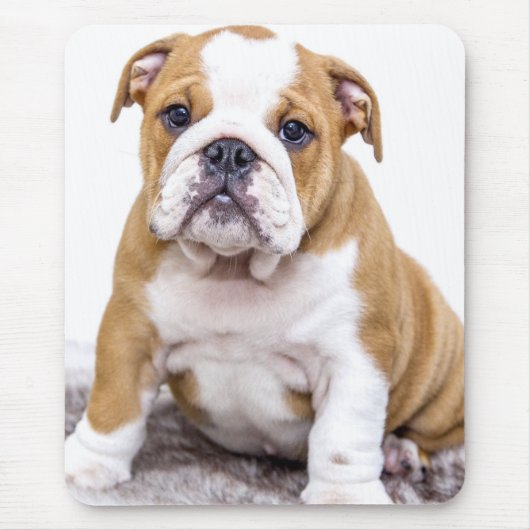 Niedlicher Bulldoggen-Welpe, der sich hinsitzt Mousepad (Vorne)